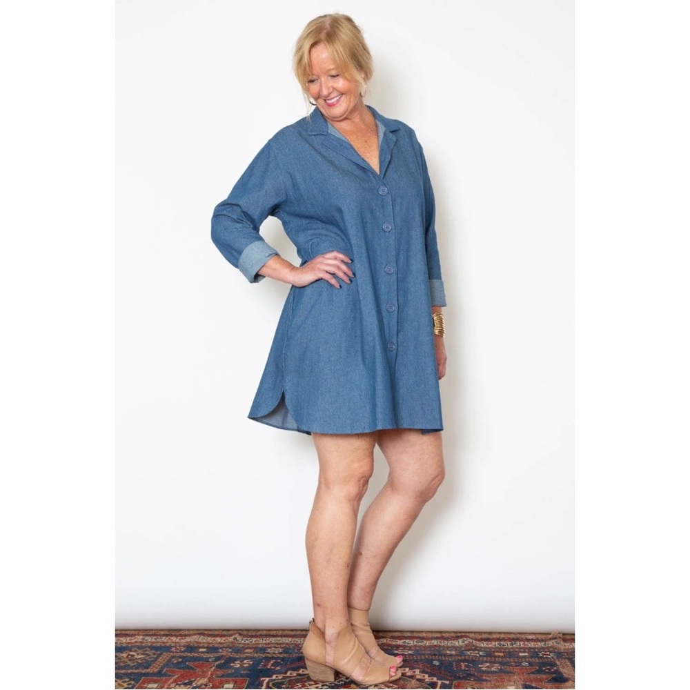 SBJ Austin Stacey Dress in Denim